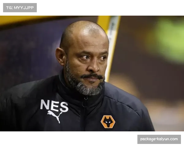 热刺三中卫体系因人员短缺形同虚设 图多尔首秀战术部署失效